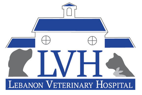 Lebanon Veterinary Hospital