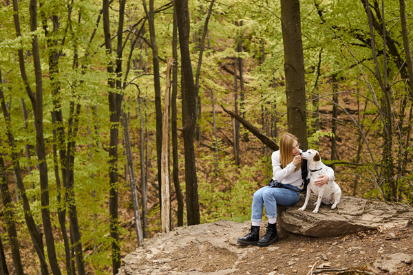 image for The Benefits and Risks of Taking Your Indoor Cat Outside on a Leash